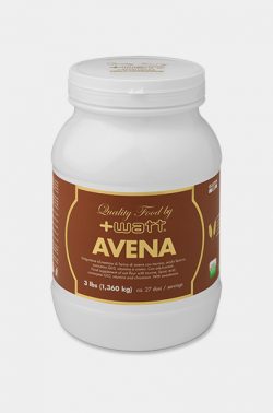 Avena Quality Food NATURAL