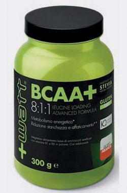 bcaa+ arancia300g