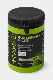 glutammina 100g