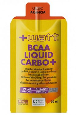 _data_prod_img_bcaa-liquid-carbo-30ml-_jpg_r_950_700